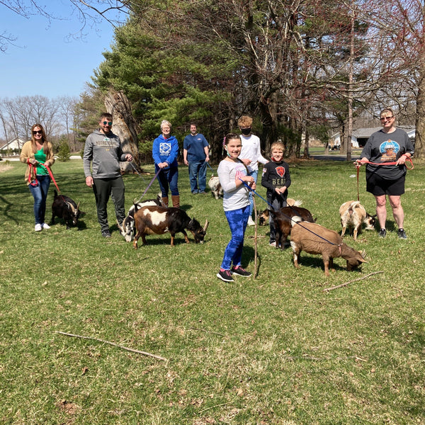 Goat Walking - Fun Activity + Education:  Make your reservation