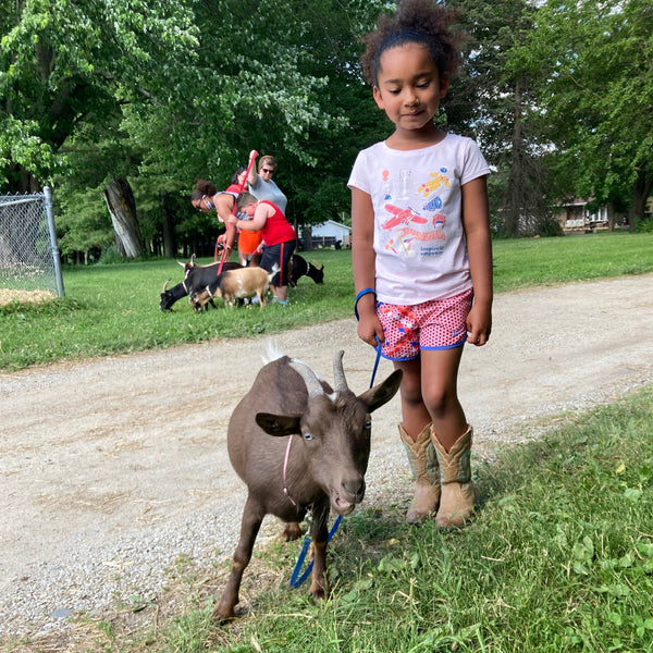 Goat Walking - Fun Activity + Education:  Make your reservation