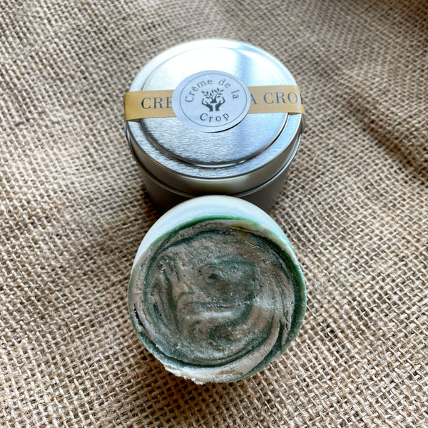 shampoo bar- top