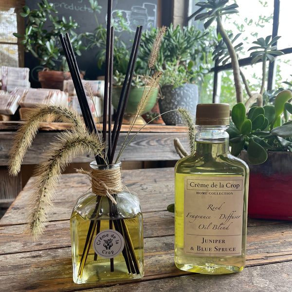 reed diffuser juniper blue spruce plants 