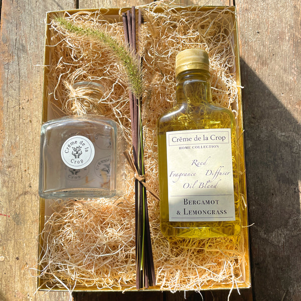 reed diffuser kit in box bergamot lemongrass overview