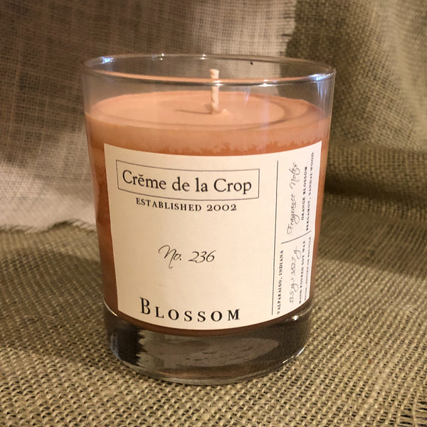 blossom- soy- front