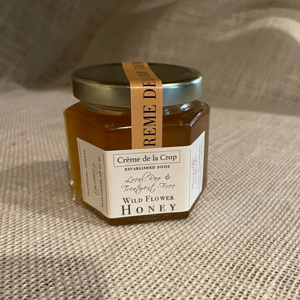 Honey - Raw & Treatment Free Local Valparaiso 5 oz front