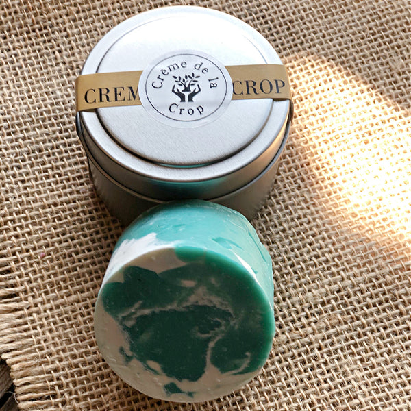shampoo bar- top