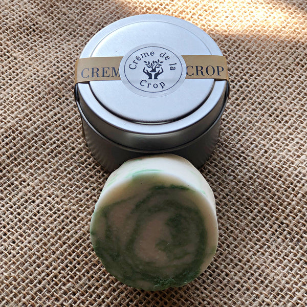 shampoo bar- top
