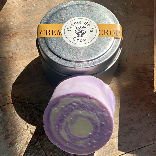 shampoo bar- top